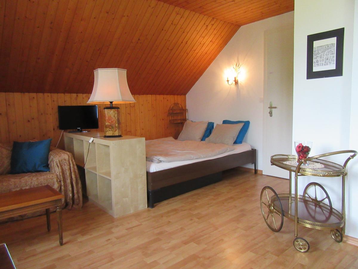 Le Debarcadere Apartment Saint Sulpice  Bagian luar foto