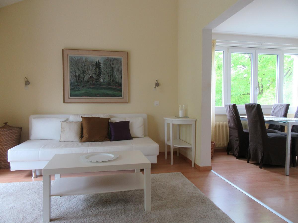 Le Debarcadere Apartment Saint Sulpice  Bagian luar foto
